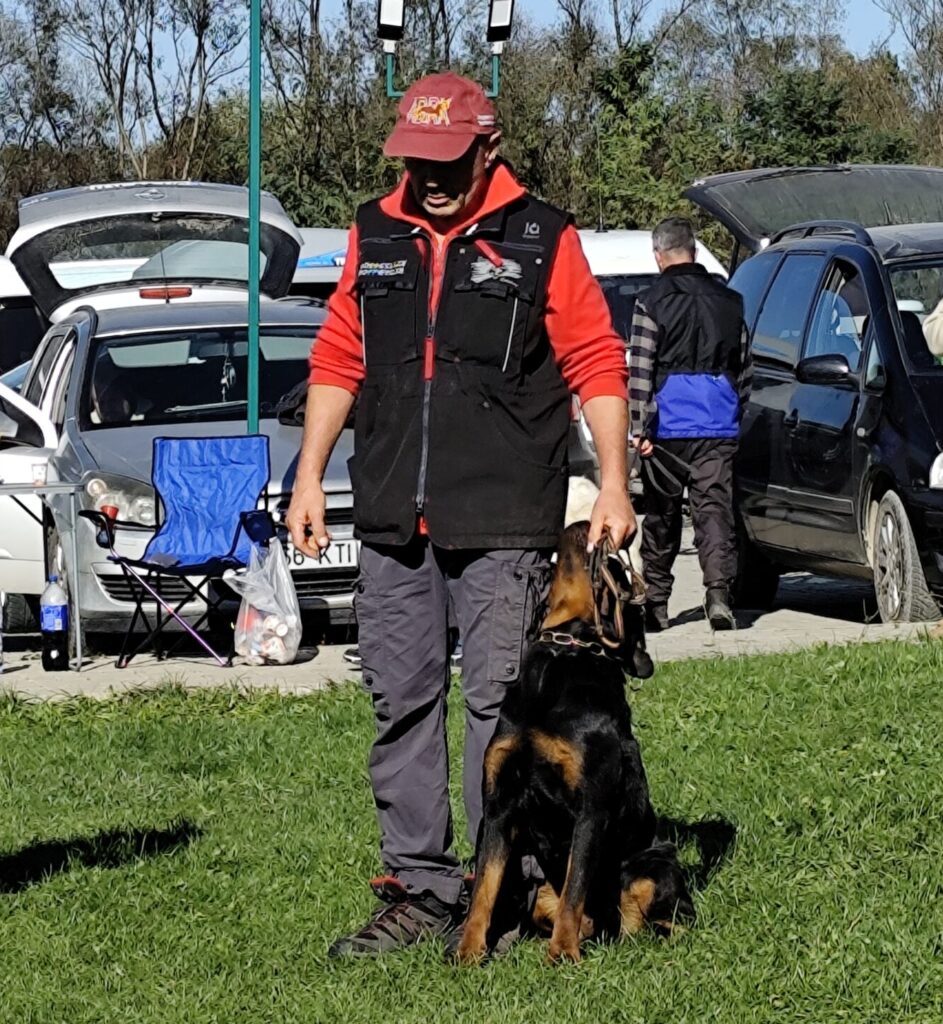 young female Rottweiler with a calm, affectionate, and very loving character