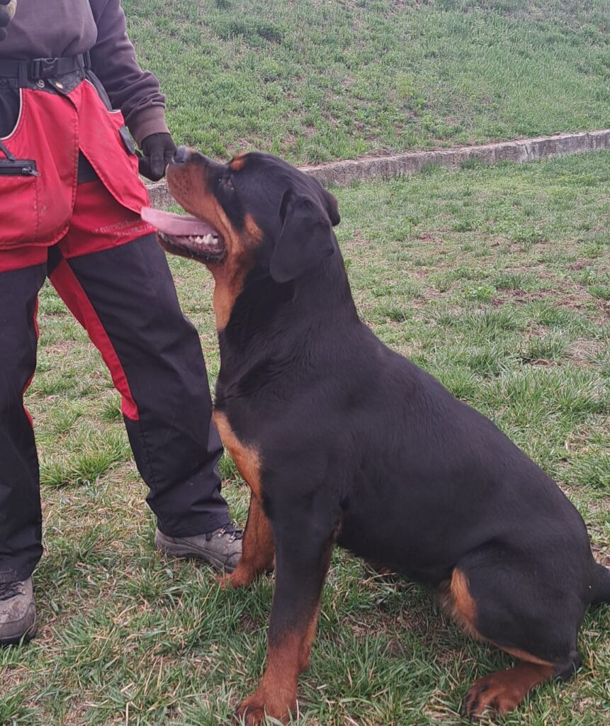 well prepared for the BH