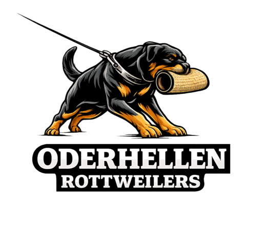 Working Rottweilers logo