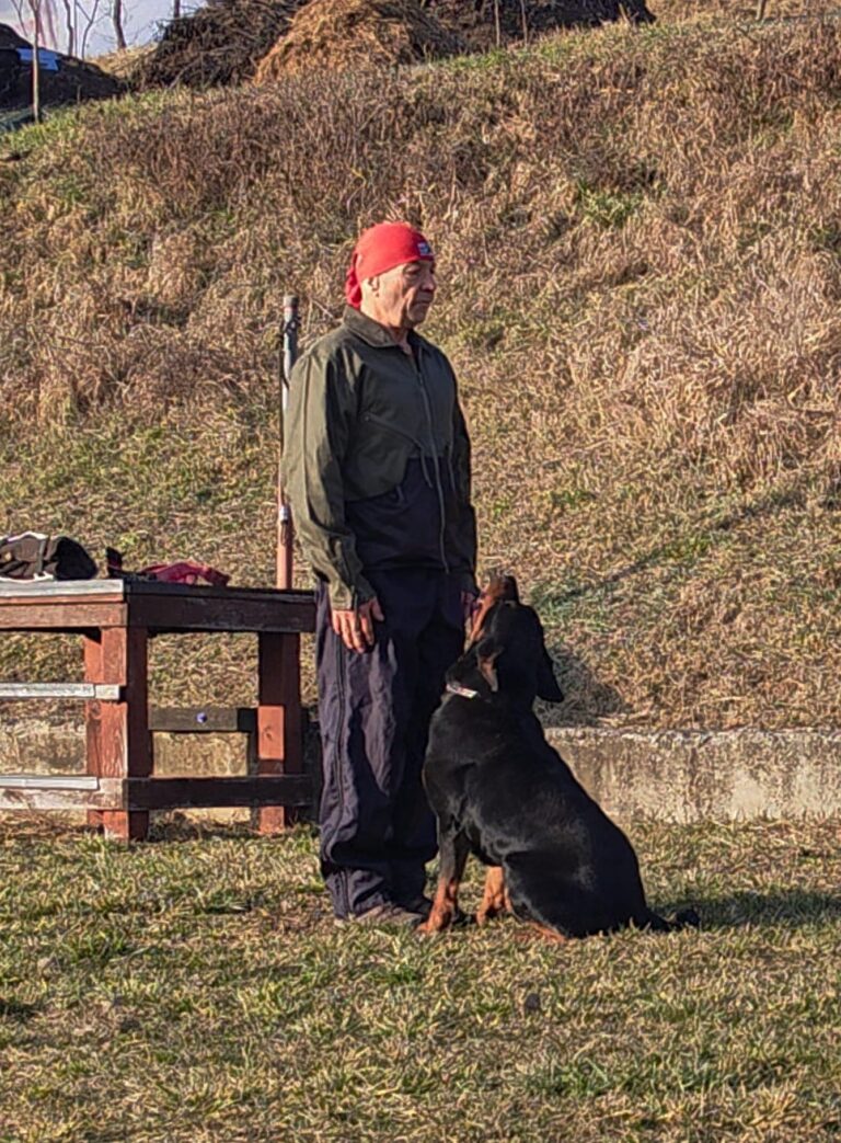 How to Maintain Your Protection Dog’s Training at Home